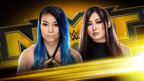 WWE NXT: Ladder Match to determine Women’s WarGames advantage (November 13, 2019) - Wrestling ...