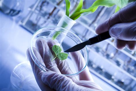 Startup: è boom di PMI Biotech, più di una su quattro nata negli ultimi 5 anni