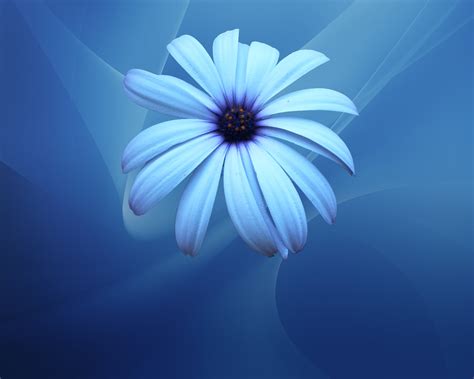 Blue Flower Wallpaper, Nice Blue Flower Wallpaper, #15770