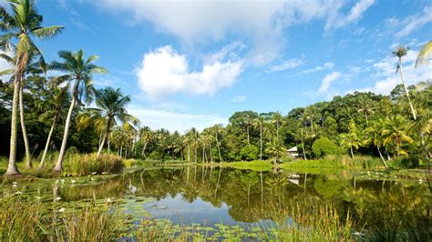 Pulau Ubin - NabeelaElouise