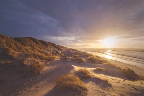 Golden North Sea Coastline in Denmark Stock Image - Image of dunes ...