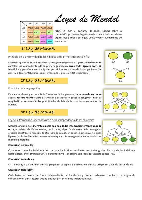 Leyes de Mendel apunte | David Alejandro Satian Cambay | uDocz