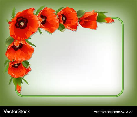 Red poppies floral frame Royalty Free Vector Image