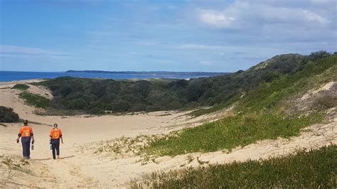 Cudmirrah Beach dune regeneration works - Bowantz Consulting, Bushfire ...