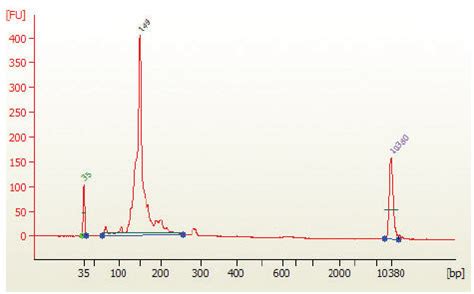 Size Selection using AMPure XP Beads | NEB