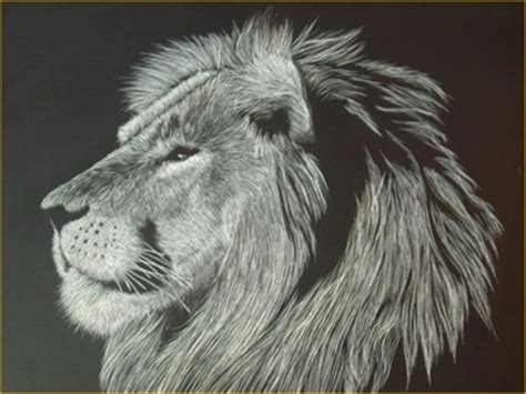 Scratch Art Animals - North Woods Art