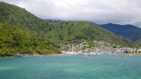 Picton Harbour, NZ holiday accommodation from AU$ 128/night | Stayz