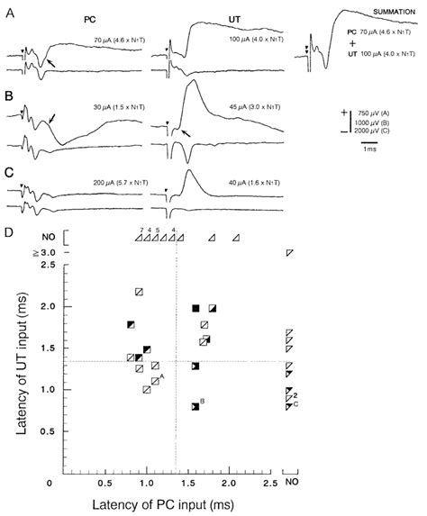 Averaged postsynaptic potentials (A-C) and input pattern and latency of ...