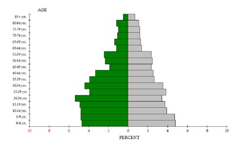 Population Pyramid - Cairo Sustainability