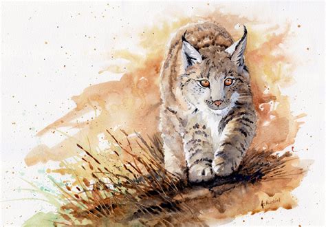 Lynx by Alina-Kurbiel on DeviantArt