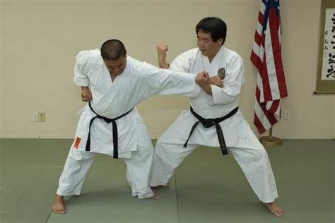 Karate Shorin Ryu – Kokusai Nippon Budo Kyokai – Adult Karate Program