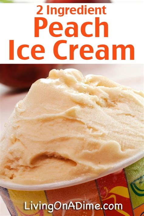 12 Easy 2 Ingredient Ice Cream Recipes You Will Love!