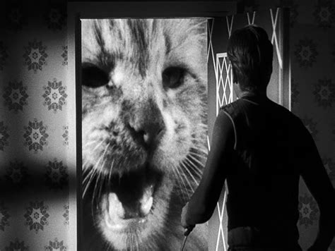 The Incredible Shrinking Man (1957) - Midnite Reviews