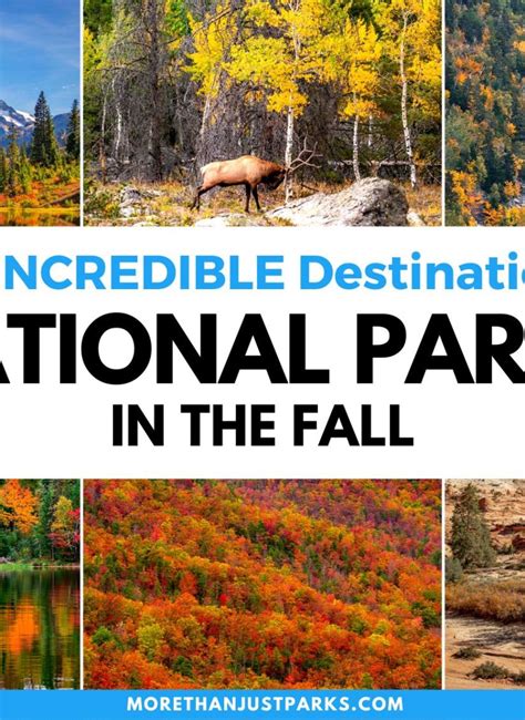 15 LARGEST National Parks in the United States (+ Full List)