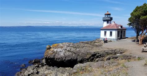 Orcas at Lime Kiln Lighthouse – Into the Salish Sea