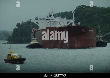 Tug Boat, Head On, from the Types of Vessels series (N139) issued by Duke Sons & Co. to promote ...