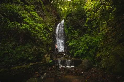 The 25 most amazing waterfalls in madeira with epic photos – Artofit