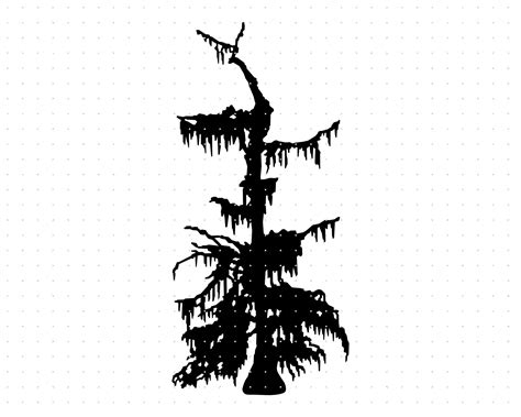 Cypress Trees, Cypress Swamp, Swamp Theme, Vector File, Svg File, Tree Svg, Tropical Rainforest ...