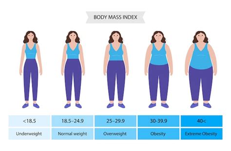 Premium Vector | Body mass index woman