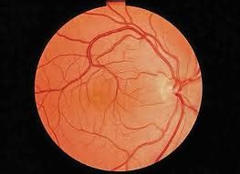 Explainer: Retinal Scan Technology | Biometric Update