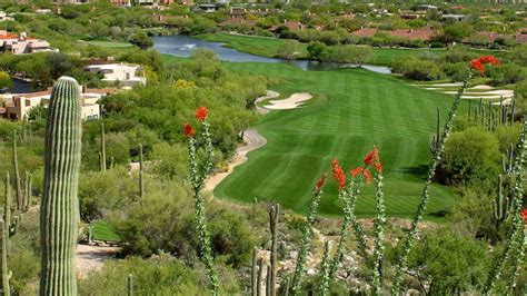 Best Golf Courses In Tucson | GolfNow Blog | Blog Hồng