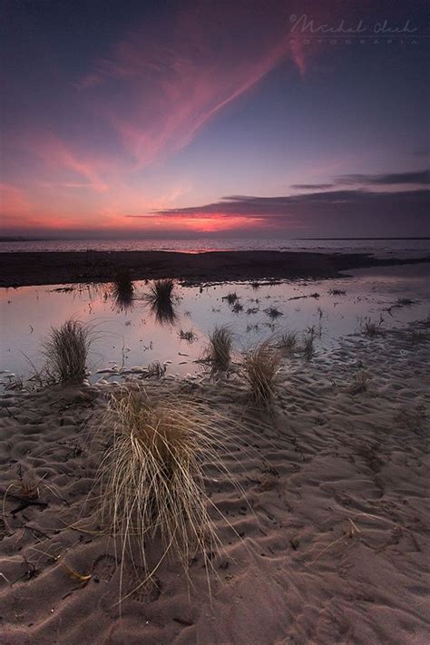 Baltic evening | Sunset, Gdansk poland, Bialowieza forest