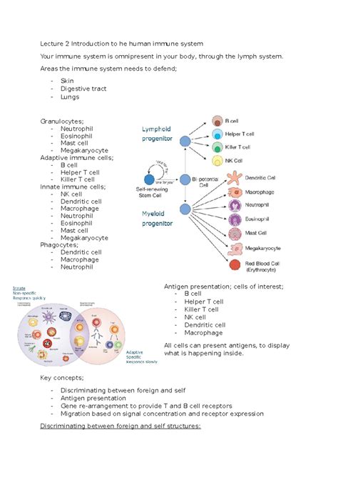 Introduction to human immunology lectures - Lecture 2 Introduction to he human immune system ...