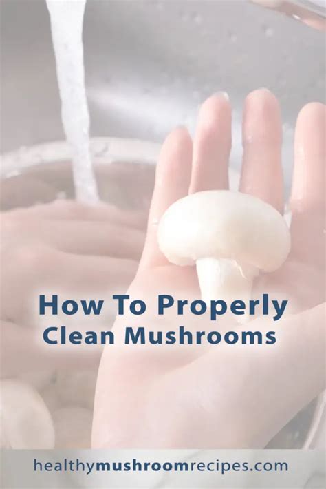 How To Properly Clean Mushrooms - More Mushrooms Please!