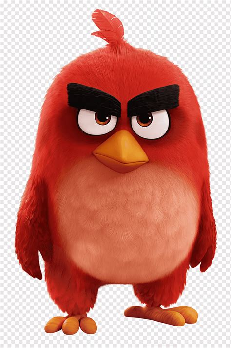 Angry Chicken Cartoon Png - kropkowe-kocie