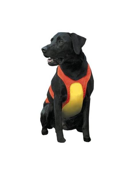 10 Best Dog Vests for Outdoor Use Reviewed in 2024 | TheGearHunt