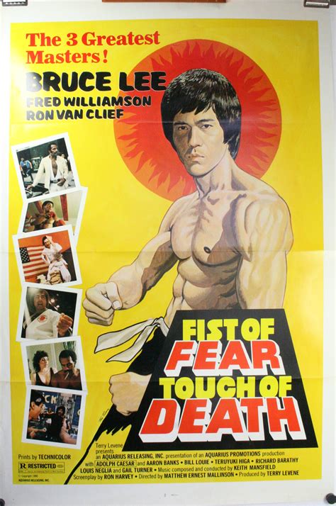 FIST OF FEAR TOUCH OF DEATH, Bruce Lee, Fred Williamson, Ron Van Clief ...