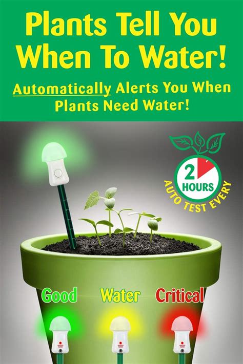 Automatically measures plant moisture every 2 hours! Never worry about ...