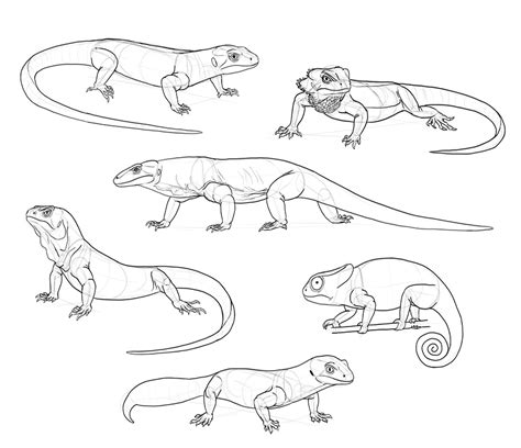 SketchBook Original: How to Draw Lizards – Monika Zagrobelna