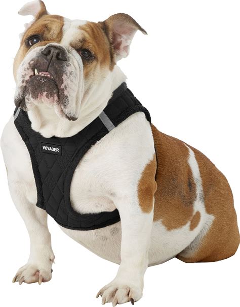 BEST PET SUPPLIES Voyager Padded Fleece Dog Harness, Black, X-Large - Chewy.com