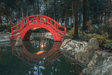 El bello jardín japonés escondido en la Ciudad de México - México ...