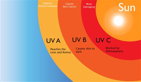 The ABC's of Ultraviolet Radiation