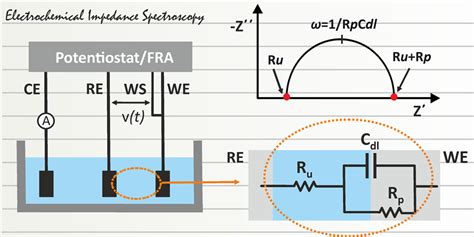 Electrochemical Impedance Spectroscopy Pdf Host - vrogue.co