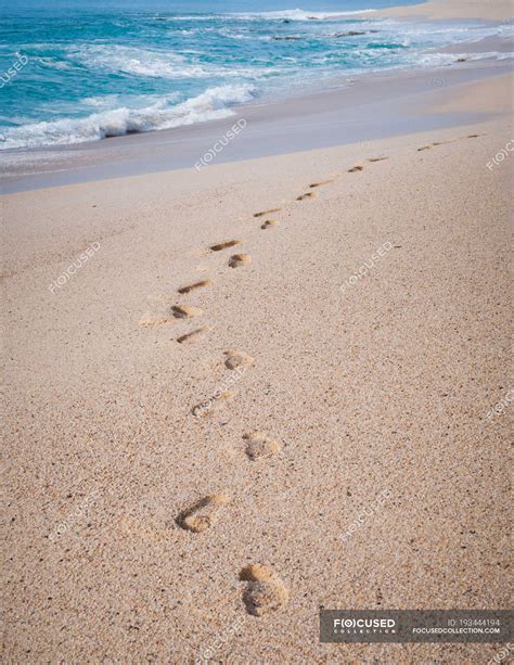 Scenic view of footprints in the sand on beach — close up, travel - Stock Photo | #193444194