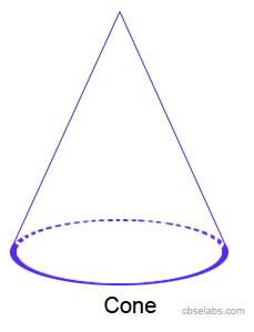 Three-Dimensional Shapes - CBSE Tuts