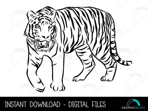 Tiger Images Clip Art