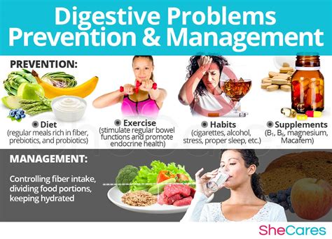 Diseases Of Digestive System Symptoms And Treatment at Emma Massey blog