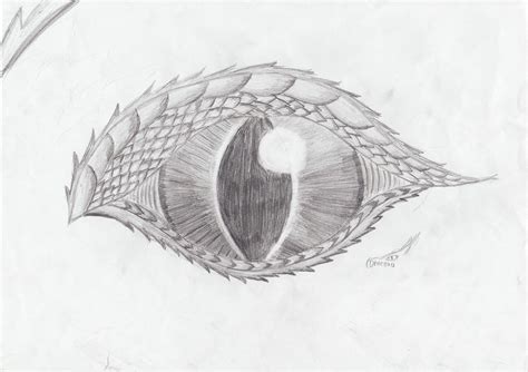 Dragon eye by Dracorana on DeviantArt