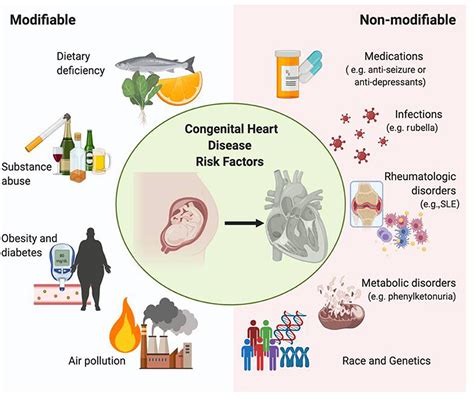 Congenital Heart Disease Classification