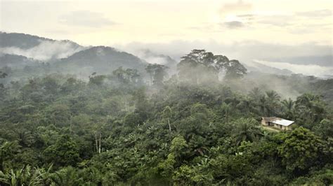 New African Rainforest Map Shows Which Areas Are Most Vulnerable to Climate Crisis - EcoWatch