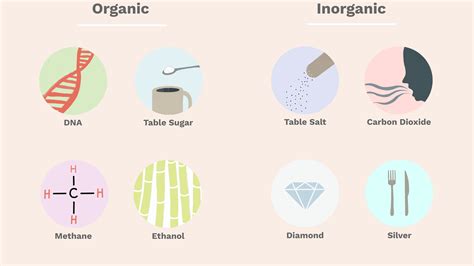 Organic and inorganic compounds pdf