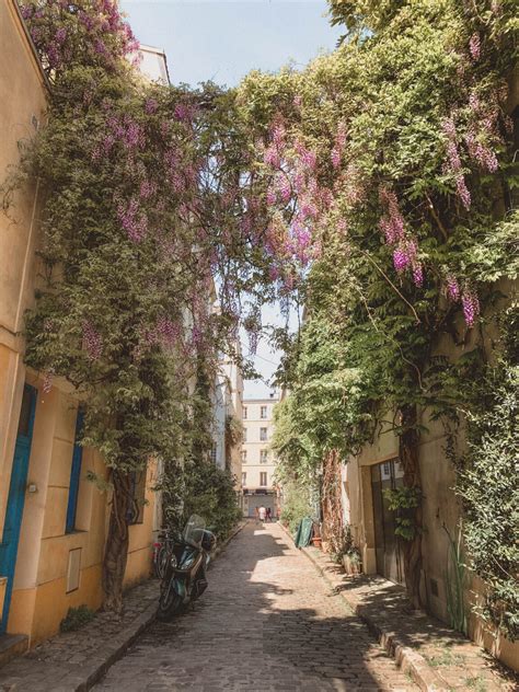 When & Where to Find the Best Wisteria in Paris | solosophie