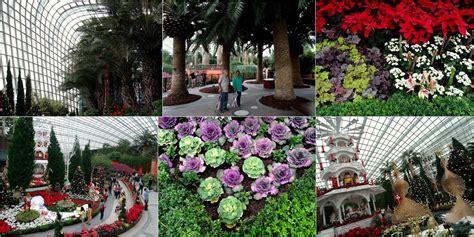 Singapore: The Flower Dome at the Gardens by the Bay | Travel and Lifestyle Diaries - Just ...