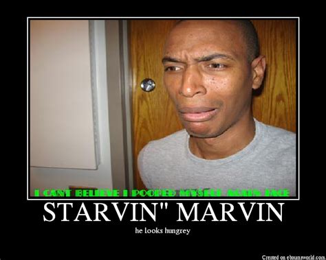 STARVIN" MARVIN - Picture | eBaum's World