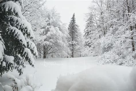 Winter storm in upstate NY (Penfield, NY) | Rochester NY Photographers ...