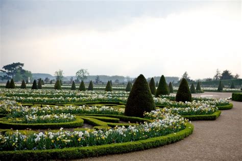 The Gardens of Versailles: Flower and Might - Flower Magazine